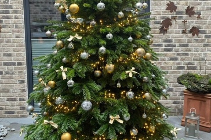 Atrium zur Weihnachtszeit