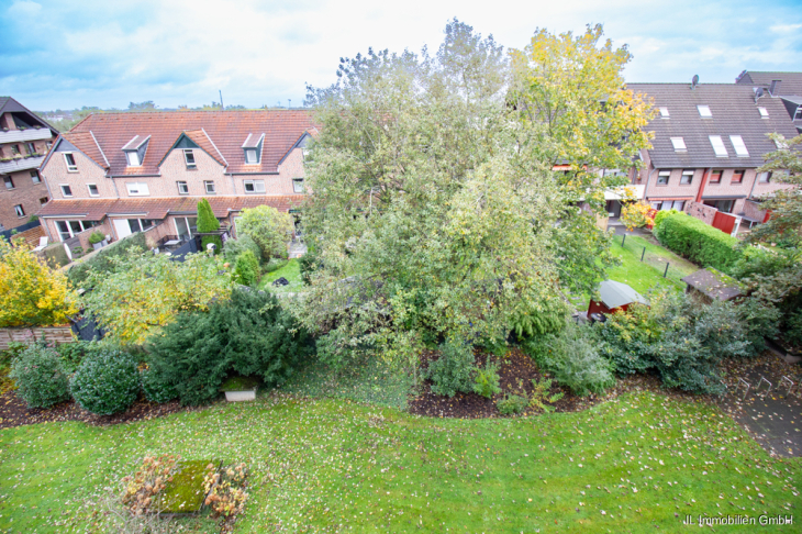 Ausblick