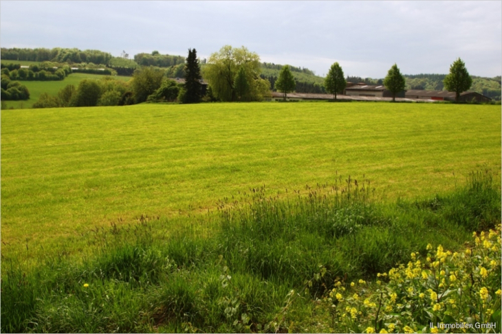 Ausblick_3