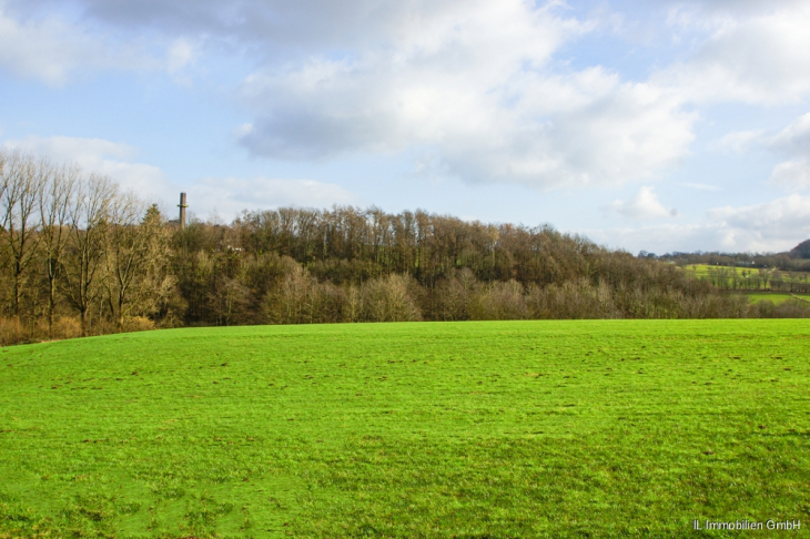 Blick in die Natur