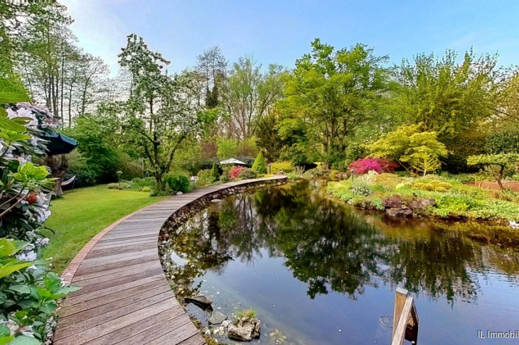 Schwimmteich und Garten